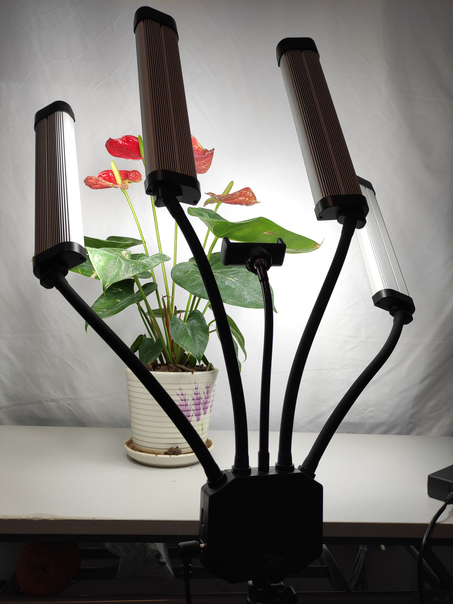 Lampu Bi-color 65W Profesional - Beauty Makeup Video ulasan dan harga